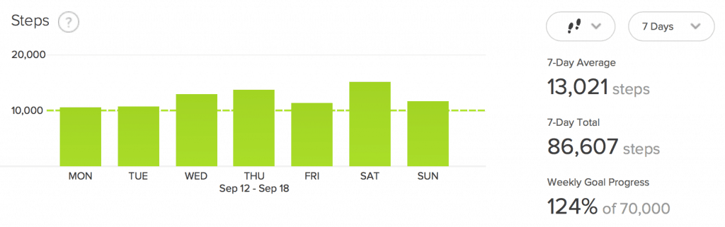 Figure 4: FitBit Steps: Above is a depiction of the steps from the Fitbit Dashboard. The Fitbit surge is the source.