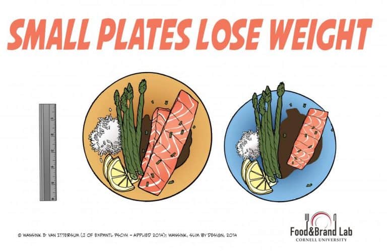 Smaller Plates Lose Weight