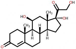 Steroid hormone cortisol (hydrocortisone) structural formula