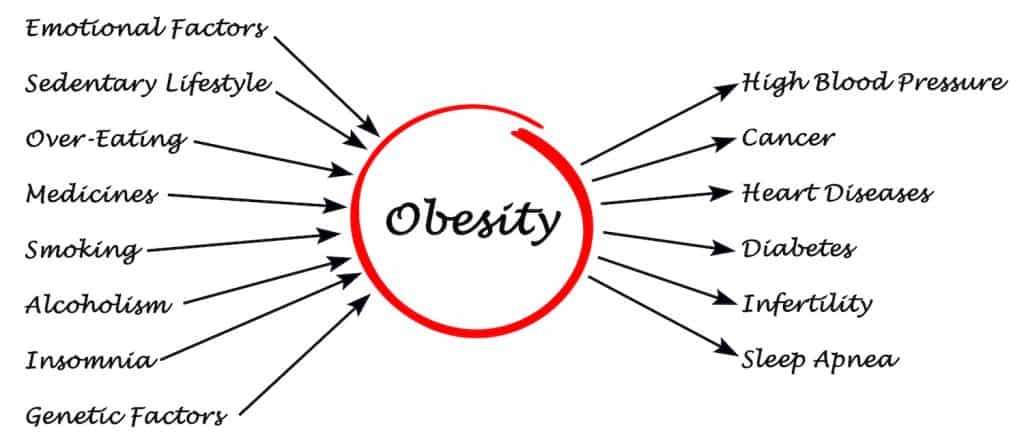 Obesity - Causes and Effects