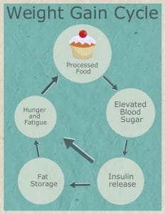 Weight Gain Cycle