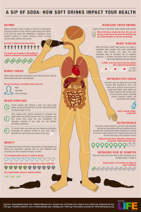 Soda Infographic from Term Life