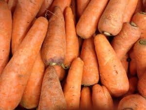Ripe carrots